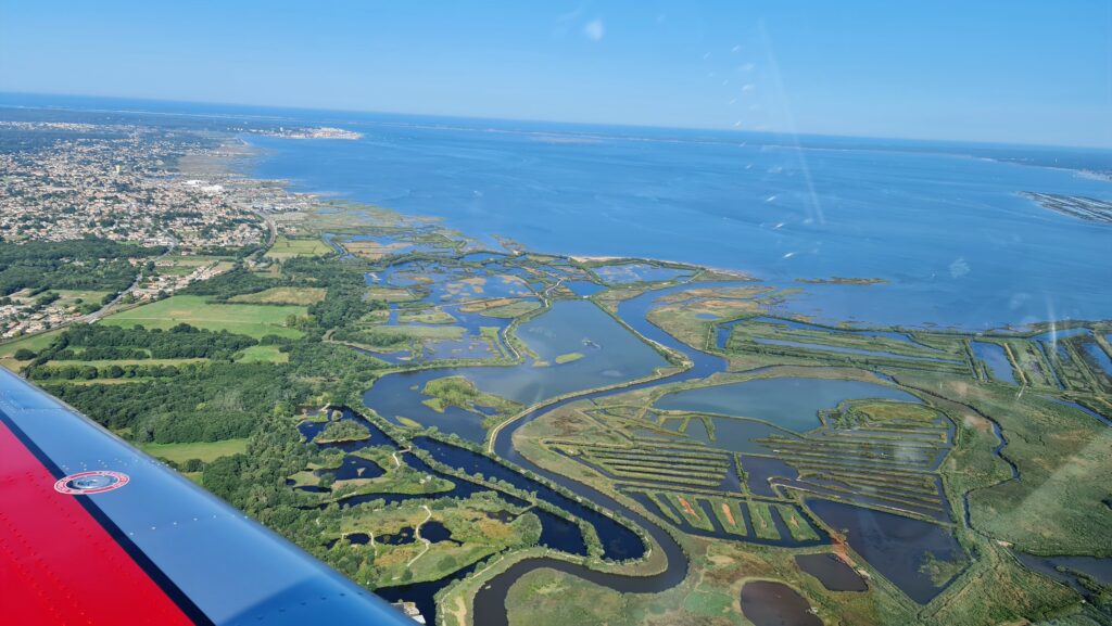 Parc Ornithologique le Teich